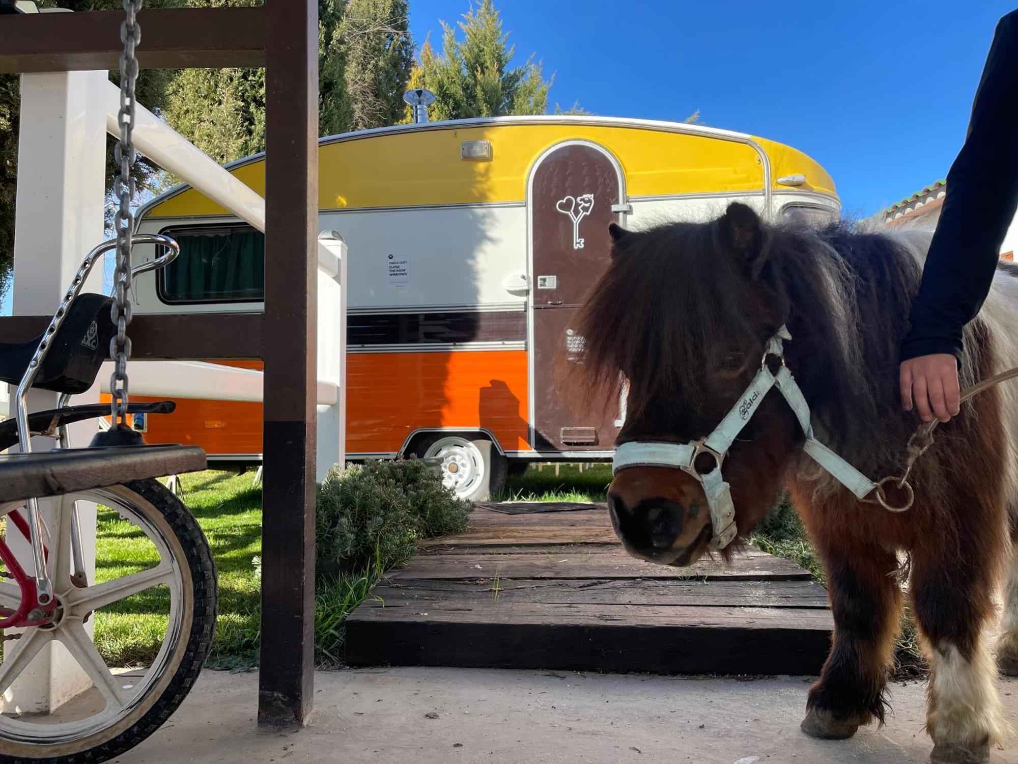 Hearts & Ponies Apartamentos Con Piscinas Privadas Cerca De La Warner チンチョン エクステリア 写真